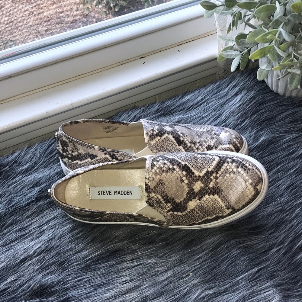 Snakeskin Steve Madden Shoes